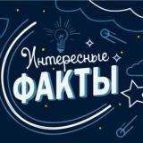 Интересные Факты