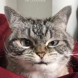 Пикчи для наездов