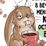 TokaCro – футболки, кружки, сувениры.