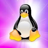 Linux Club 🐧
