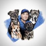 Искусство общения с собакой в приюте