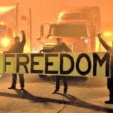 чат-группа "Свободный мир.Израиль"