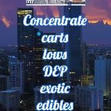 📦🔒Real Trappers📦🔒