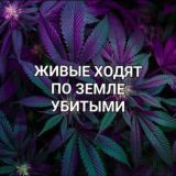 ПЕРЕХОДНИК КУРИЛКИ ОРЕНБУРГ - ОРСК✌️