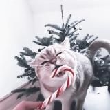 𝙒𝙊𝙉𝘿𝙀𝙍𝙇𝘼𝙉𝘿 ❗ПЕРЕЕЗД❗