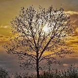 Вечерний ветер