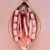 Будни радикальной феминистки