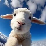 krapivinast снова в заварушке