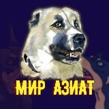 Мир Азиат️️