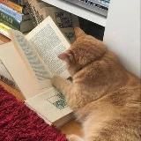 Низкокалорийная еда