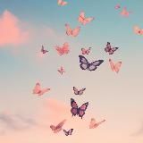 СЧАСТЛИВАЯ ЖИЗНЬ✨