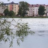 Лагойская манюка