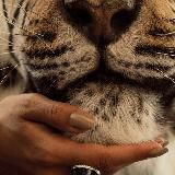 𝐀𝐳𝐚𝐁𝐥𝐨𝐠 🐆