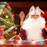 Новогодняя франшиза 2022