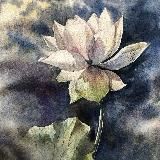 Самозанятая Лама 🦙🕉️