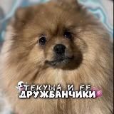 Тикки и ее дружбанчики💋