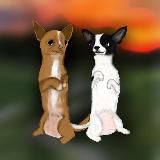 ᴄᴇʍья чихуᴀɯᴇᴋ