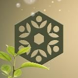 🌱 TRIBEHAUS Kanal