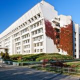 Бизнес-курс