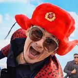 Твои звёзды