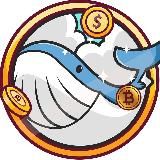 🟢Whale Finance Noticias