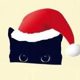 成都外围精品推荐 商k推荐 🎖🎖🎖🎖🎖