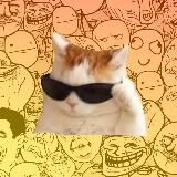 Против СКАМА