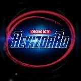 • RevizorRo • checking bots