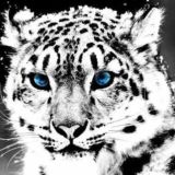 Правильный выбор