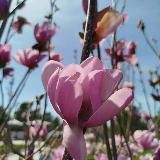 РАЗНЫЕ ИСТОРИИ