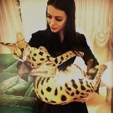 𝖒𝖐𝖊𝖗𝖗𝖔𝖝𝖞🔅(ушла)