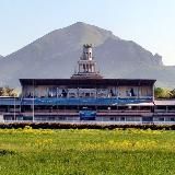 Пятигорский ипподром