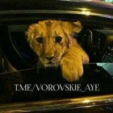 Прогнозы на спорт | Plexi