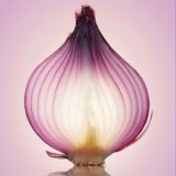 Многослойная луковица