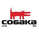 «Собака.ru» Сочи