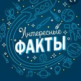 Интересные факты