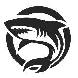 Ответы ВПР | ОГЭ и другие работы | SHARK | 🦈