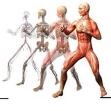 ❗ЛФК ФИТНЕС ДИЕТОЛОГИЯ РЕАБИЛИТАЦИЯ МАНУАЛЬНАЯ ТЕРАПИЯ БИОХИМИЯ