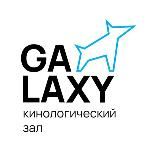 «GALAXY»