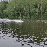 Южный Движ, про туризм и путешествия 🏄♂️🛫🏖️