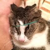 Архив анекдотов и юморесок