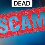 БЛОКИРОВКА СКАМЕРОВ