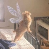 ᴘᴀʀᴀᴅɪsᴇ ᴄᴏʀɴᴇʀ 💗