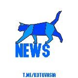КОТОВАСИЯ 18+