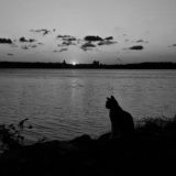 Рубцовский чат 🐈⬛