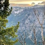 👀发现好图📸