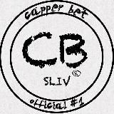 ⚜️Capper Bet | Sliv ⚜️