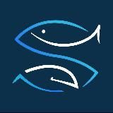 🐟 Фишмаркет 🐟 Рецепты