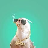 Треш и сексуал