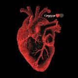 Сердце ❤️🖤